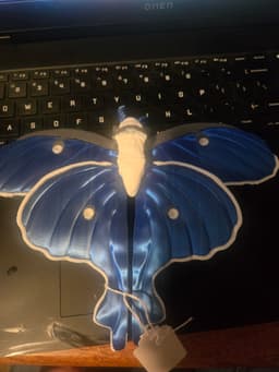 Not the best pictures, but htey sure are adorable Moths, they will look awesome on a wall. 3d model