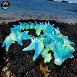 Ocean Dragon 3d model