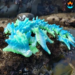 Ocean Dragon 3d model