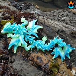 Ocean Dragon 3d model
