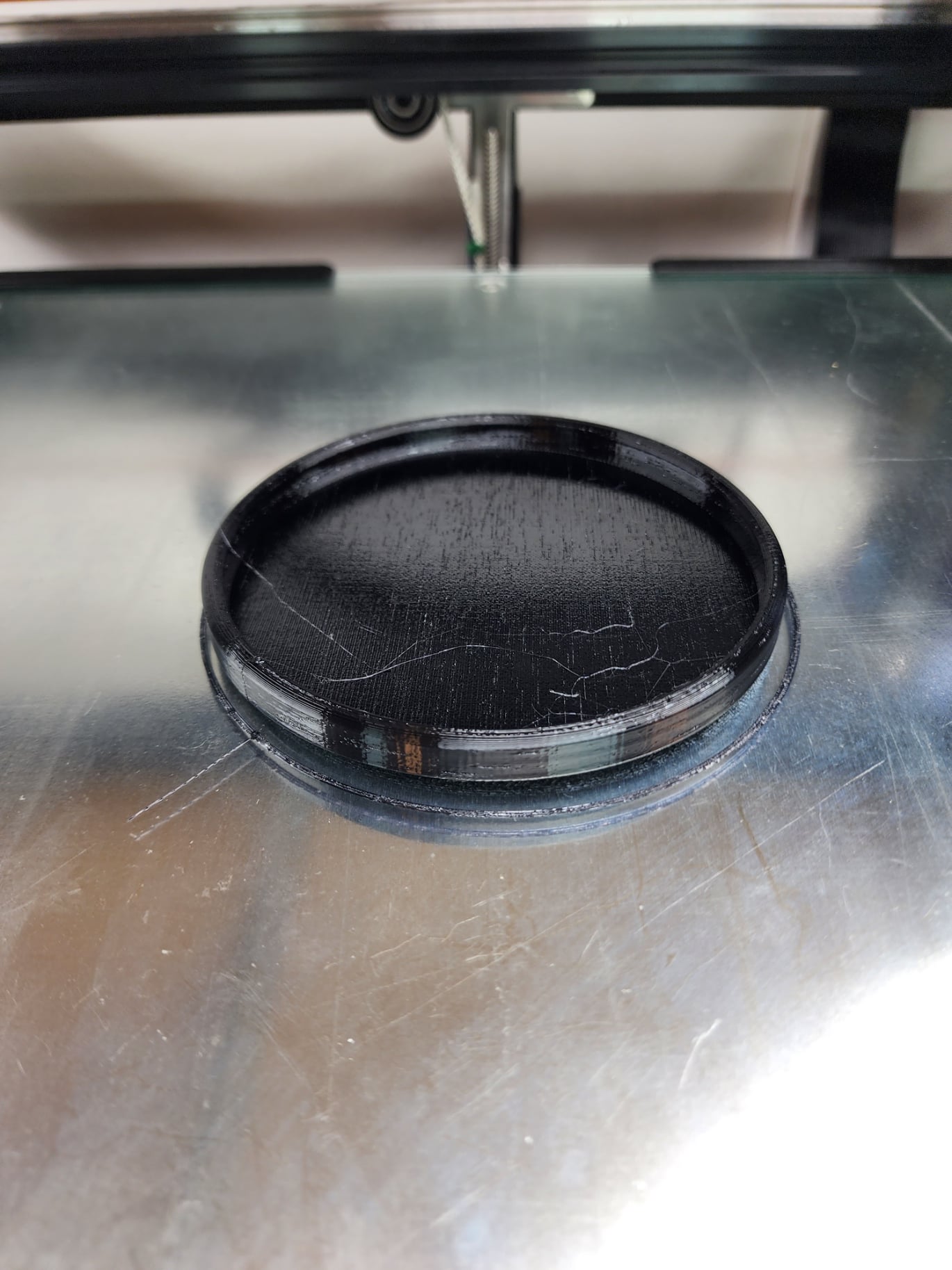 Weck Lids 3d model