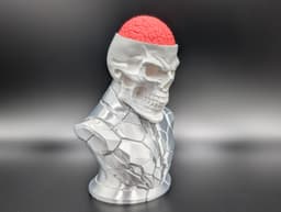 Craniumortis - No AMS / Multi-Part Bust 3d model