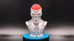 Craniumortis - No AMS / Multi-Part Bust 3d model