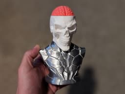 Craniumortis - No AMS / Multi-Part Bust 3d model