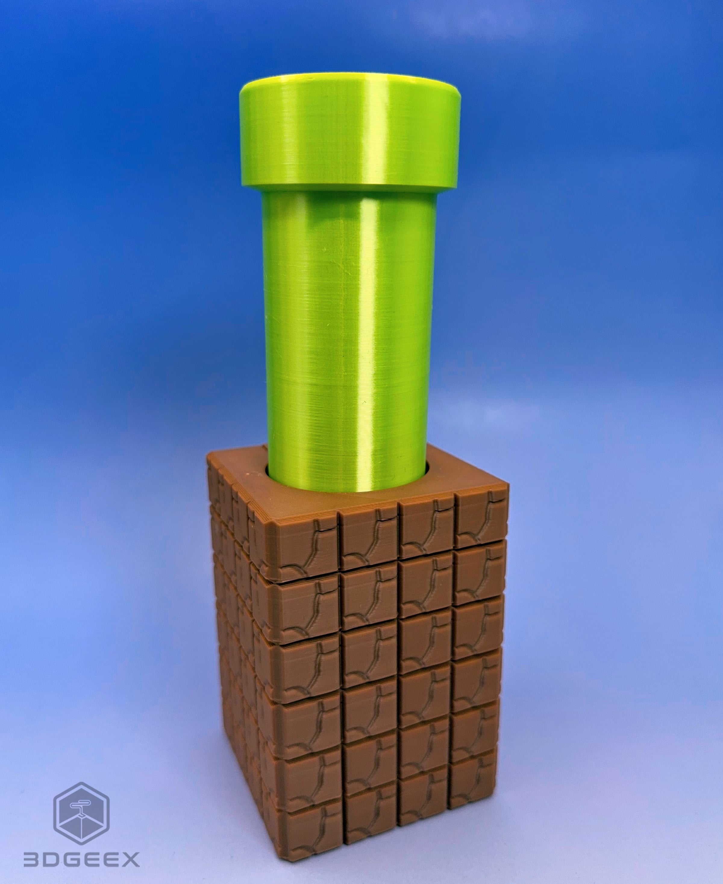 Mario's Last Descent 3d model