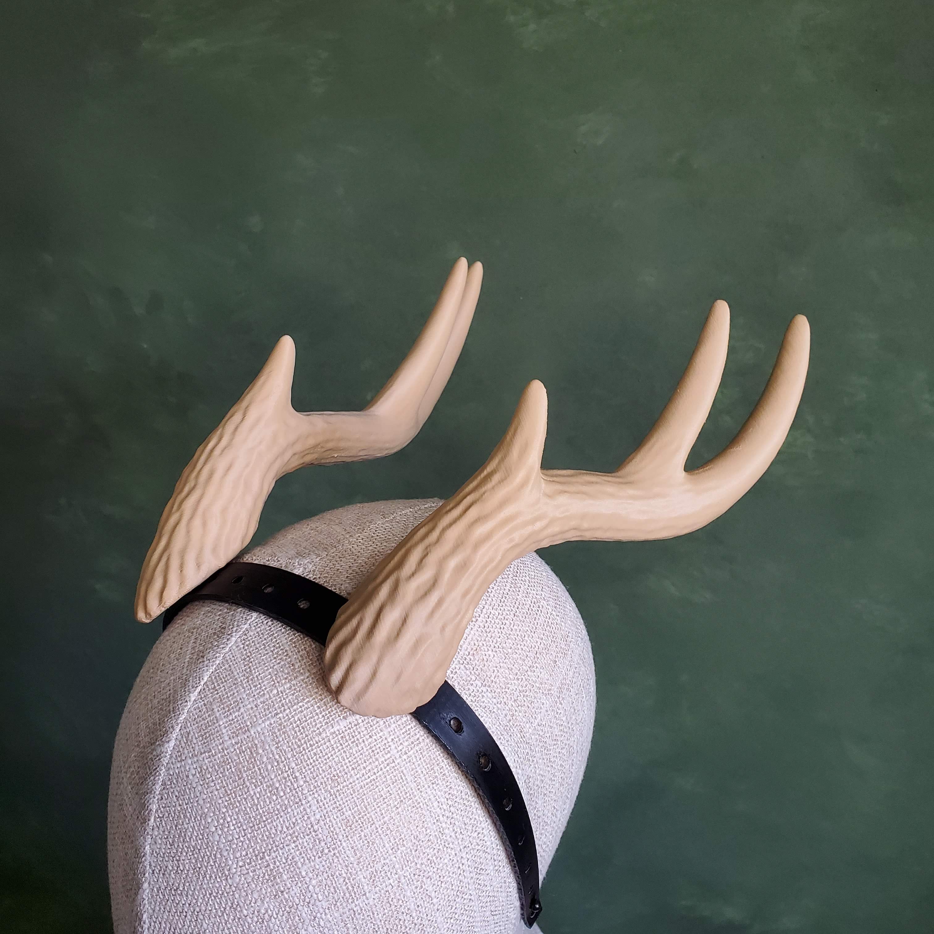 Kiki | Large Wavy Antlers 3d model