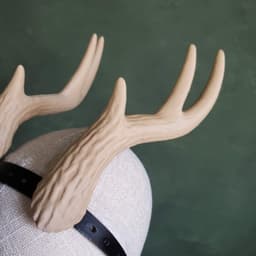Kiki | Large Wavy Antlers 3d model