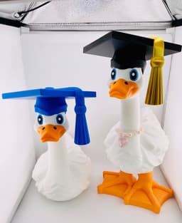 Graduation Cap Goose Gear for Porch Goose 3d model