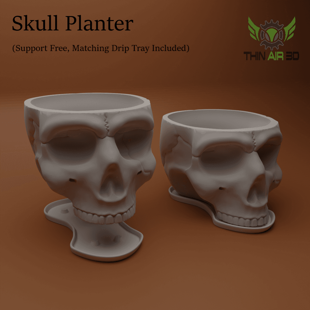 Halloween Skulls/Skull Decor - Halloween Decor 3d model