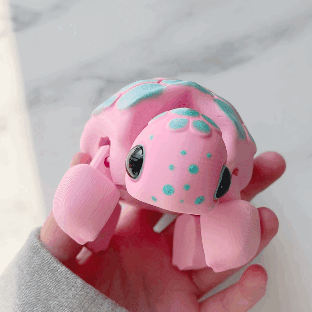 Turtle Flexi 3d model