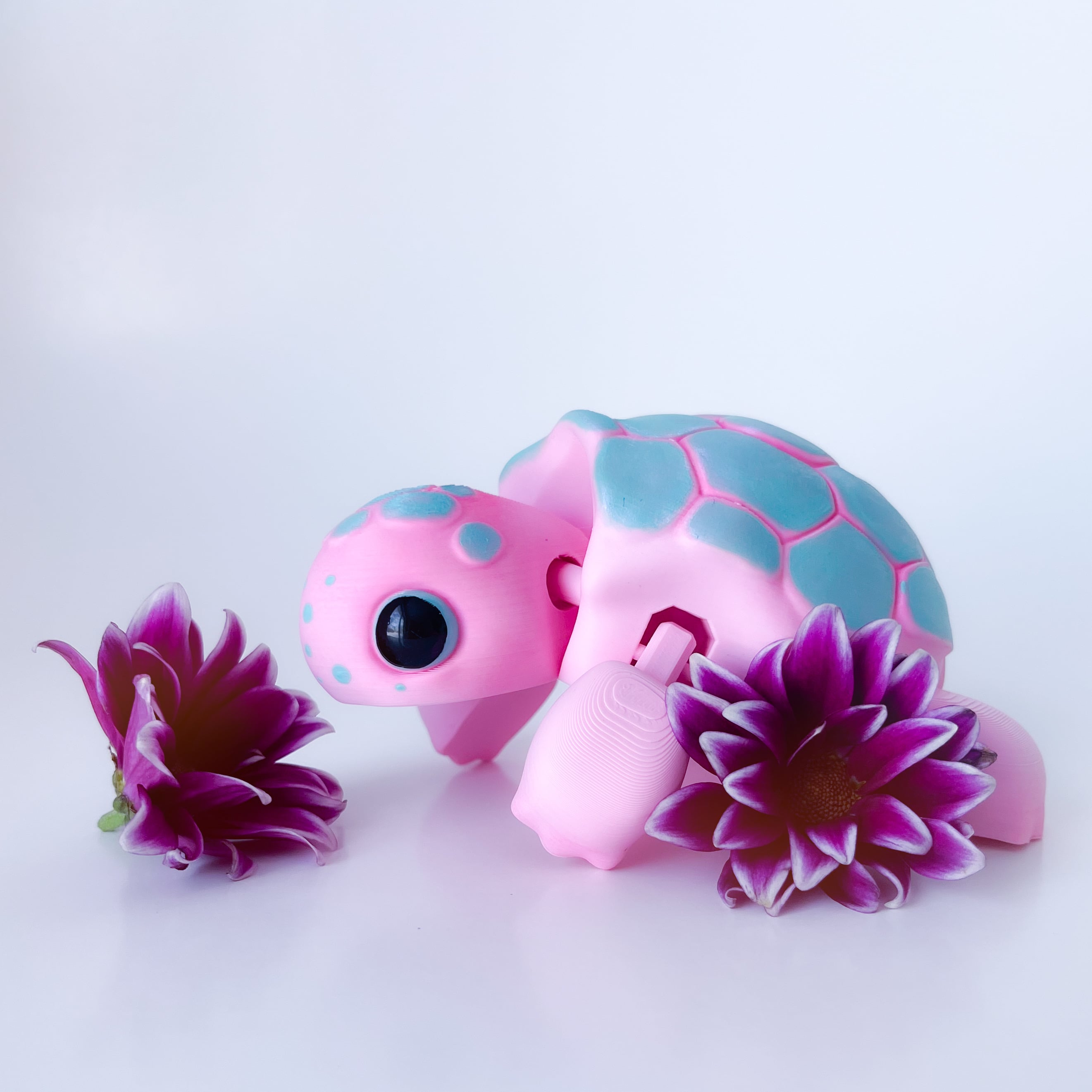 Turtle Flexi 3d model