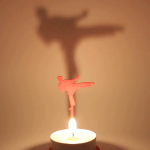 People KungFu 3d model