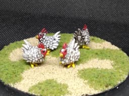 Chicken 3d model