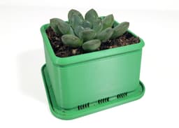 Square Succulent Planter 3d model