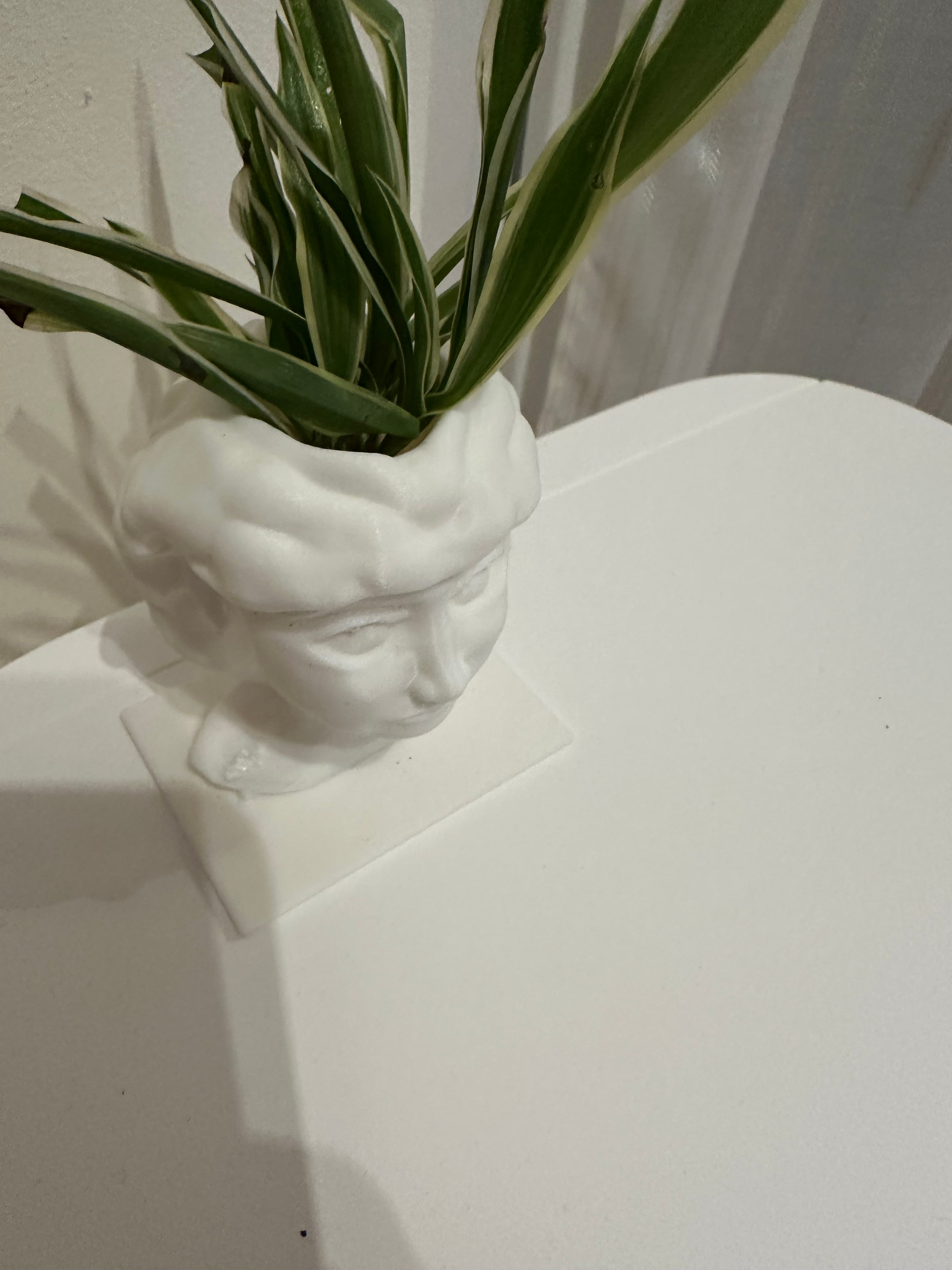 VISO VASO 3d model