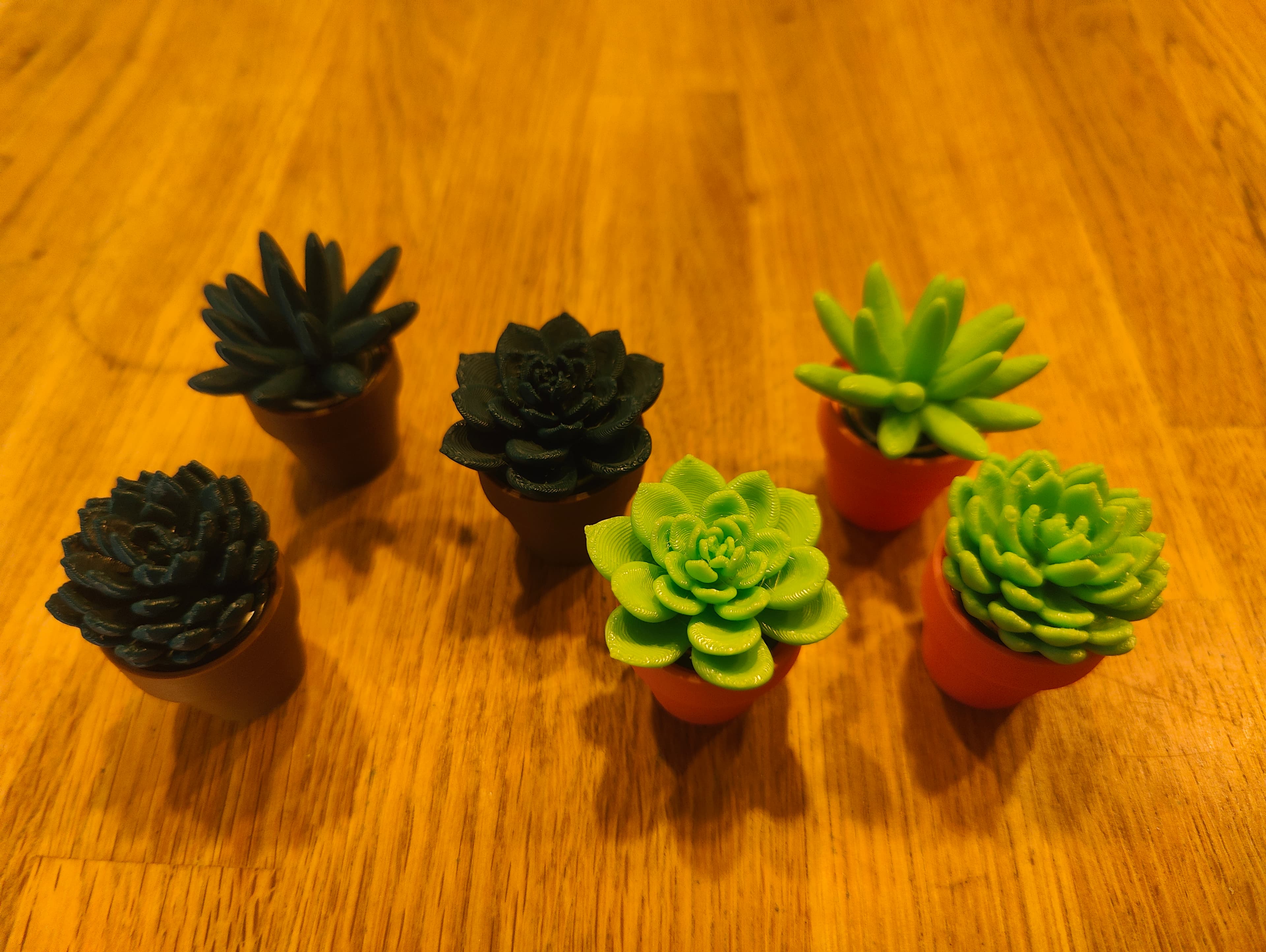 Made a little his and hers set of the spinny succulents. They are very satisfying to fidget with.