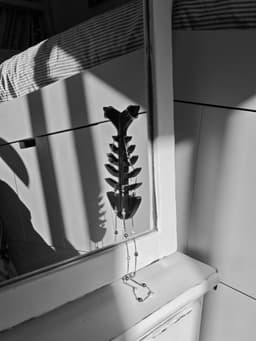 Spine hooks 3d model
