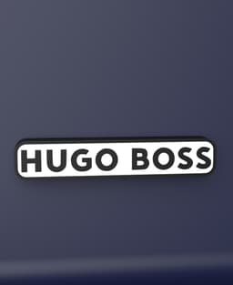 Hugo Boss - FREE wall art 3d model