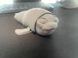 Cute Flexi Walrus 3d model
