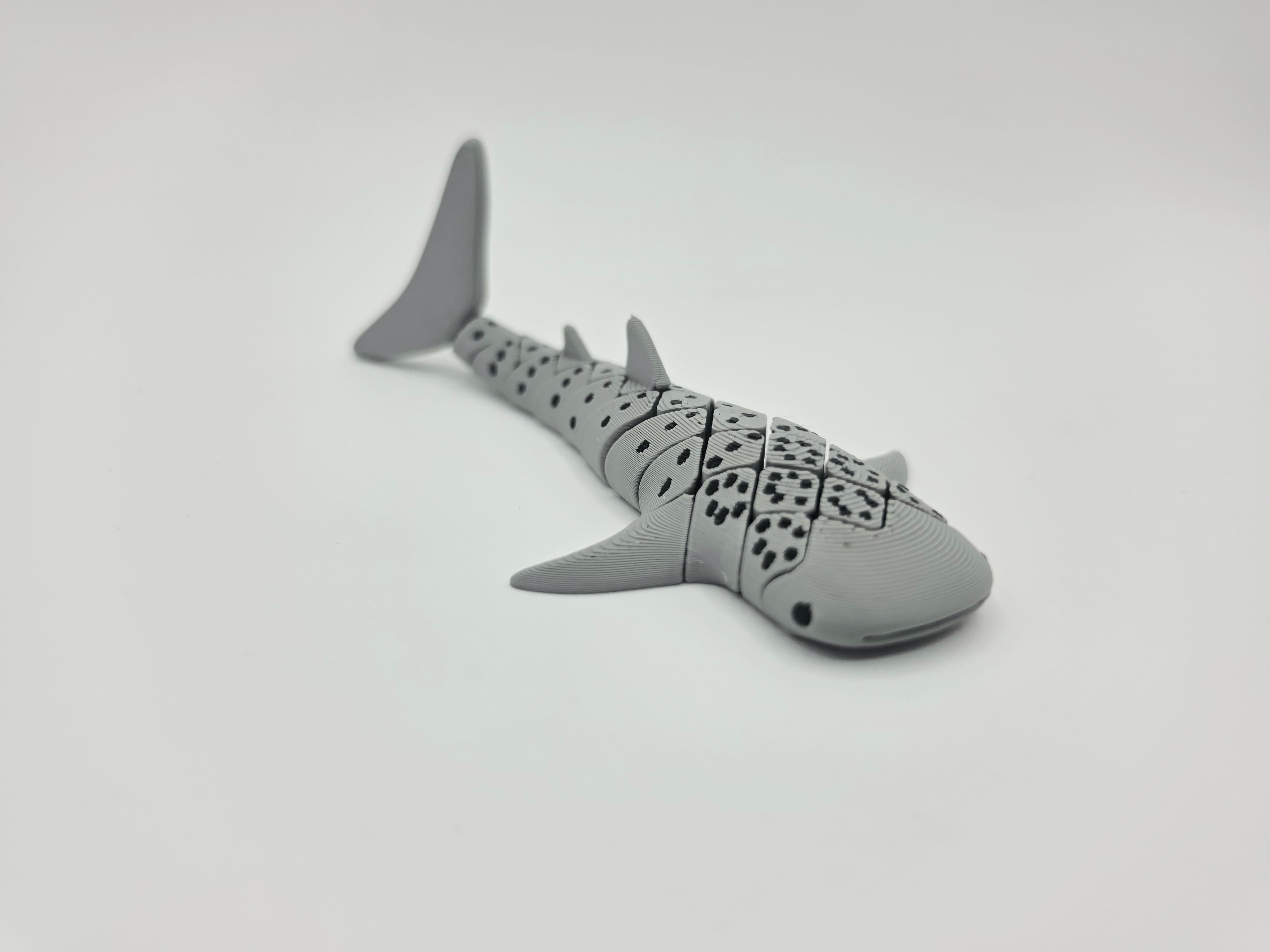 FLEXI WHALE SHARK 3d model