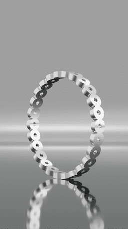 Ring Holes 3d model