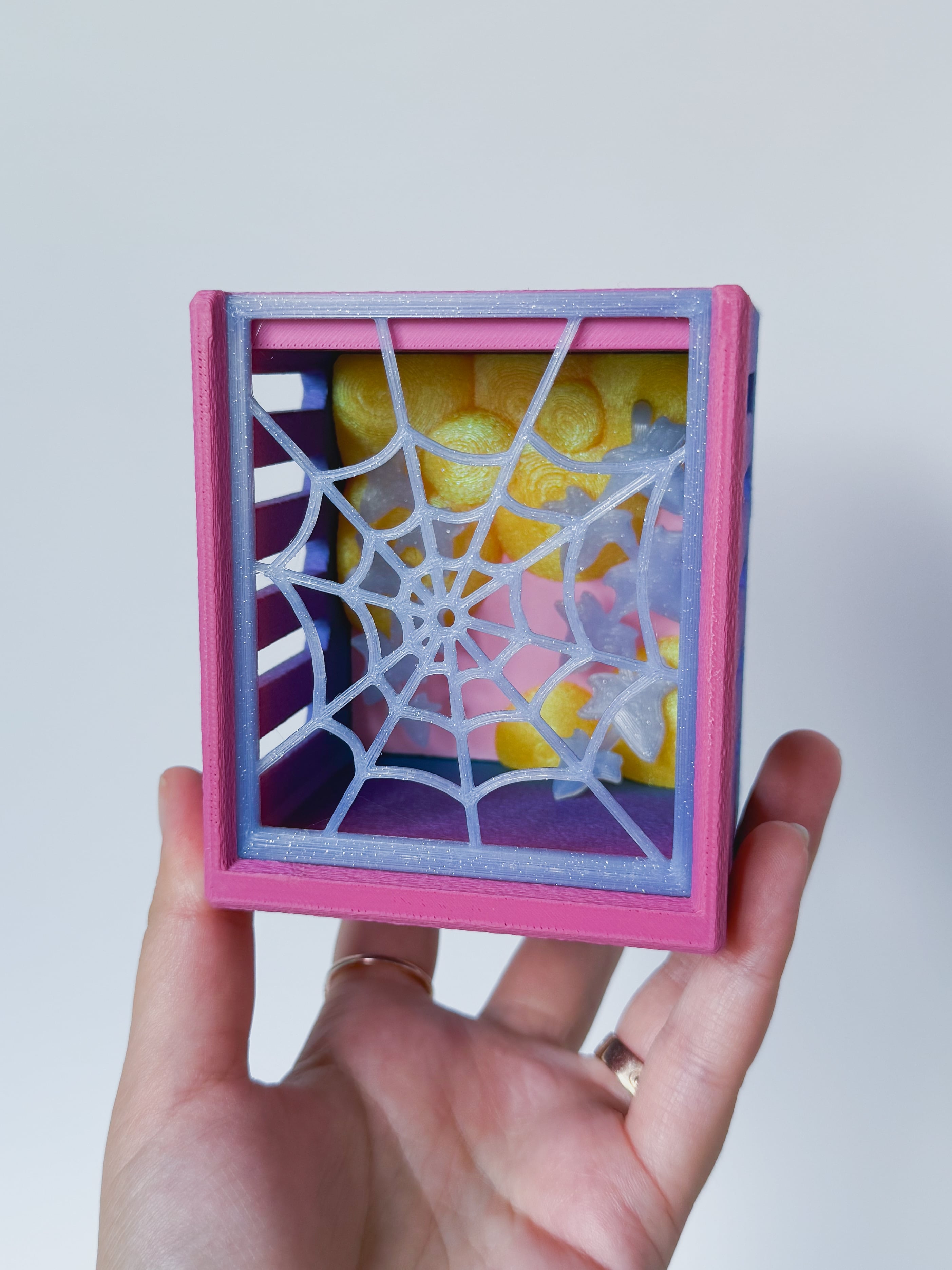 Mini Spider and Enclosure 3d model