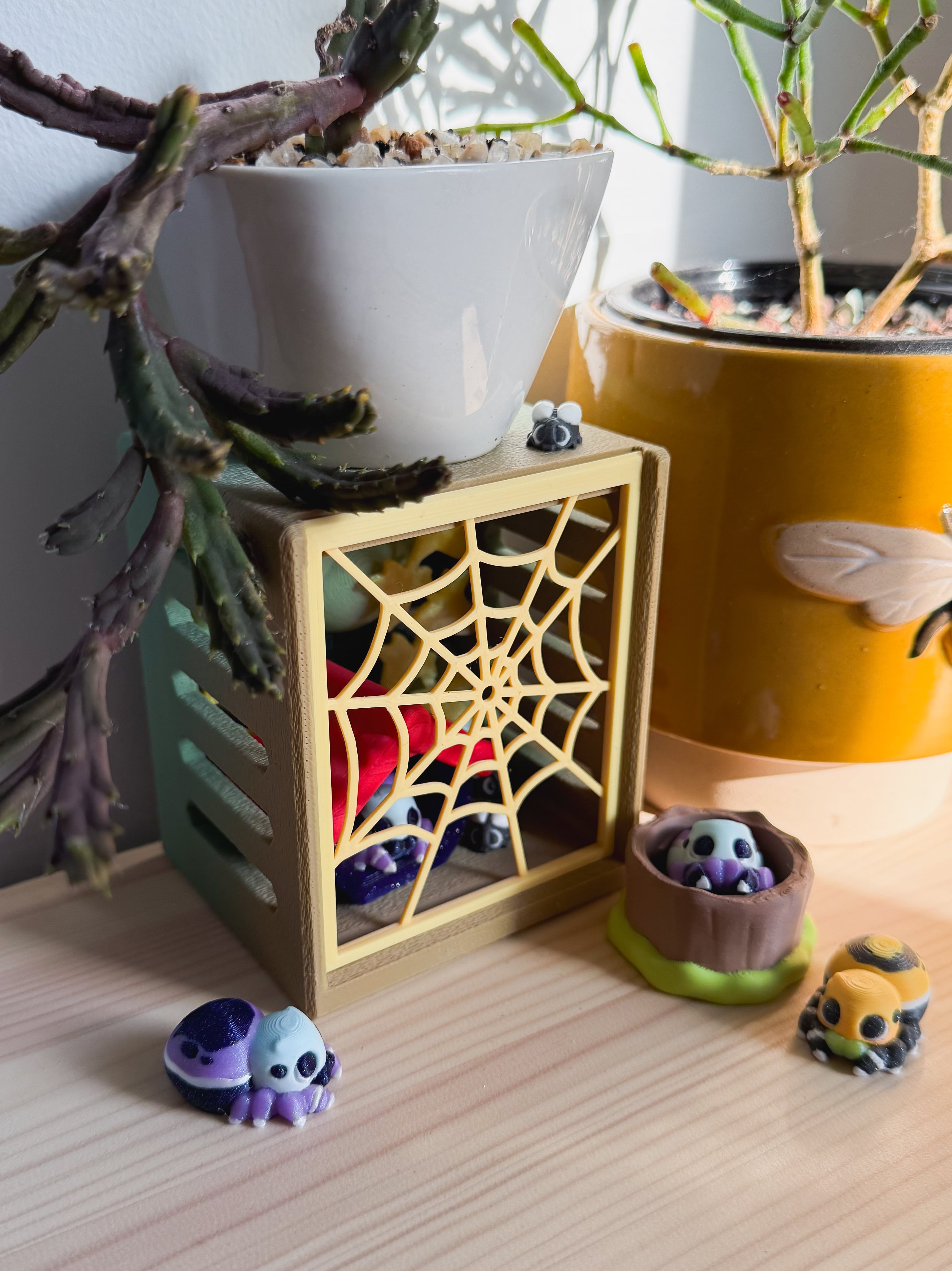 Mini Spider and Enclosure 3d model