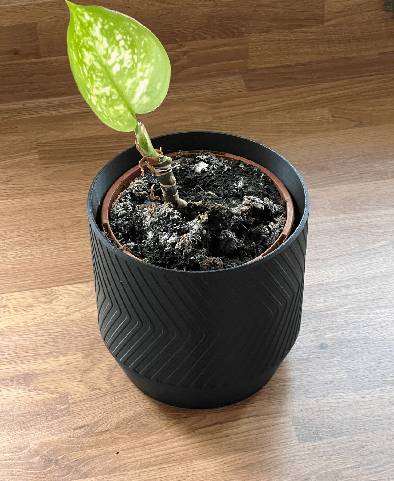 Plant Pot with internal raised drip tray 3d model