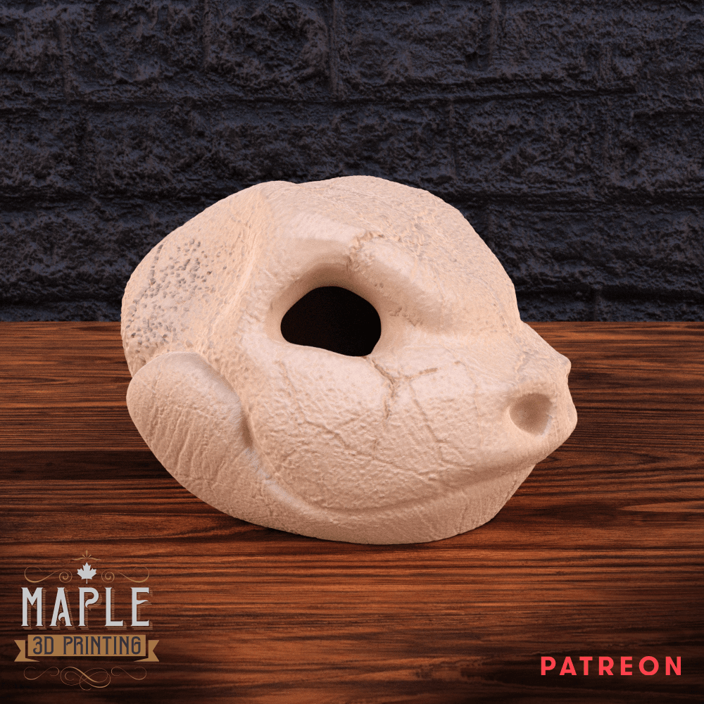 Blastoise Skull - Hollow and Solid - Pokemon 3d model