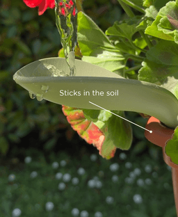 Leaflow, watering funnels. 3d model