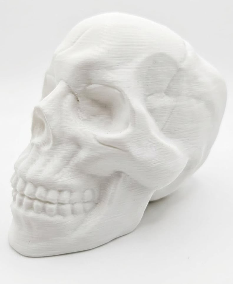 Human Skull 3d model