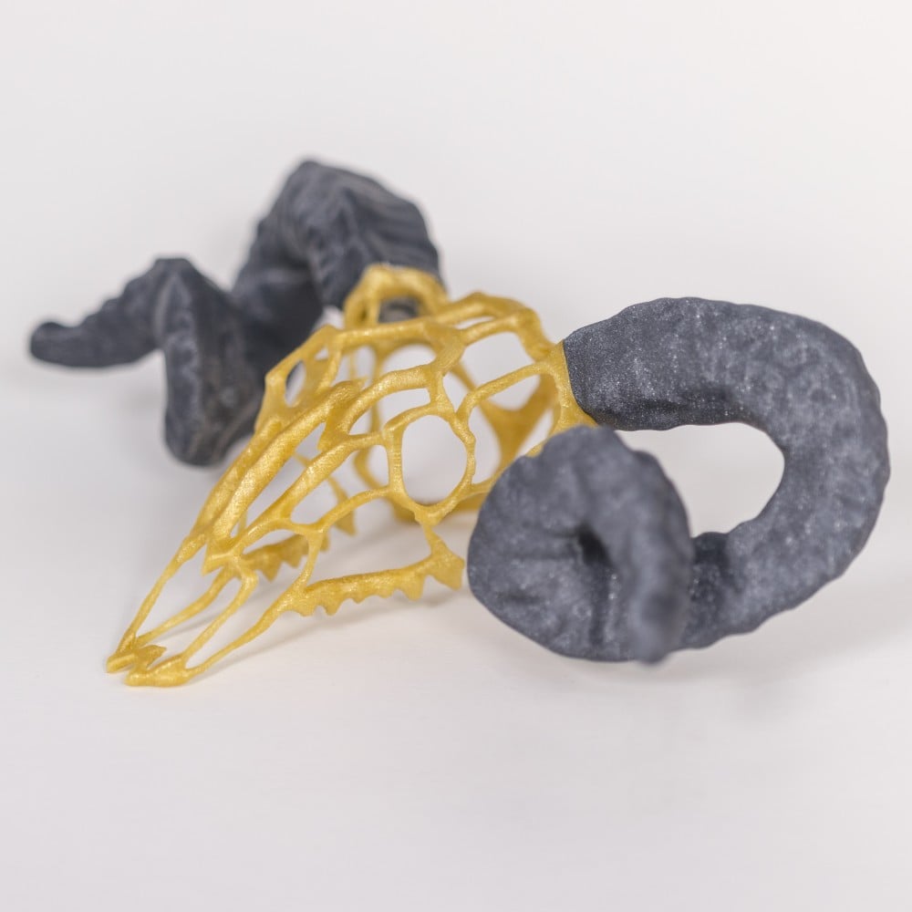 Wire Skull // Ram 3d model