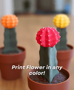 Phoney Cactus - The Moon Cactus Phone Stand 3d model