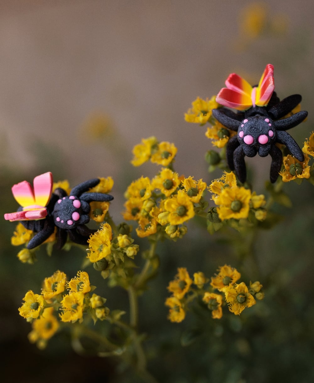 Cutest little fairy spiders!