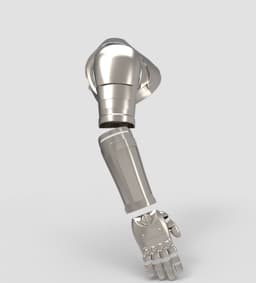Edward Elric Arm 3d model
