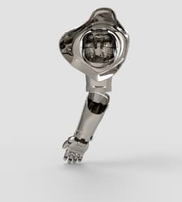 Edward Elric Arm 3d model