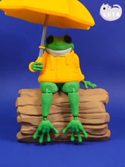 Duck Raincoat Frog 3d model