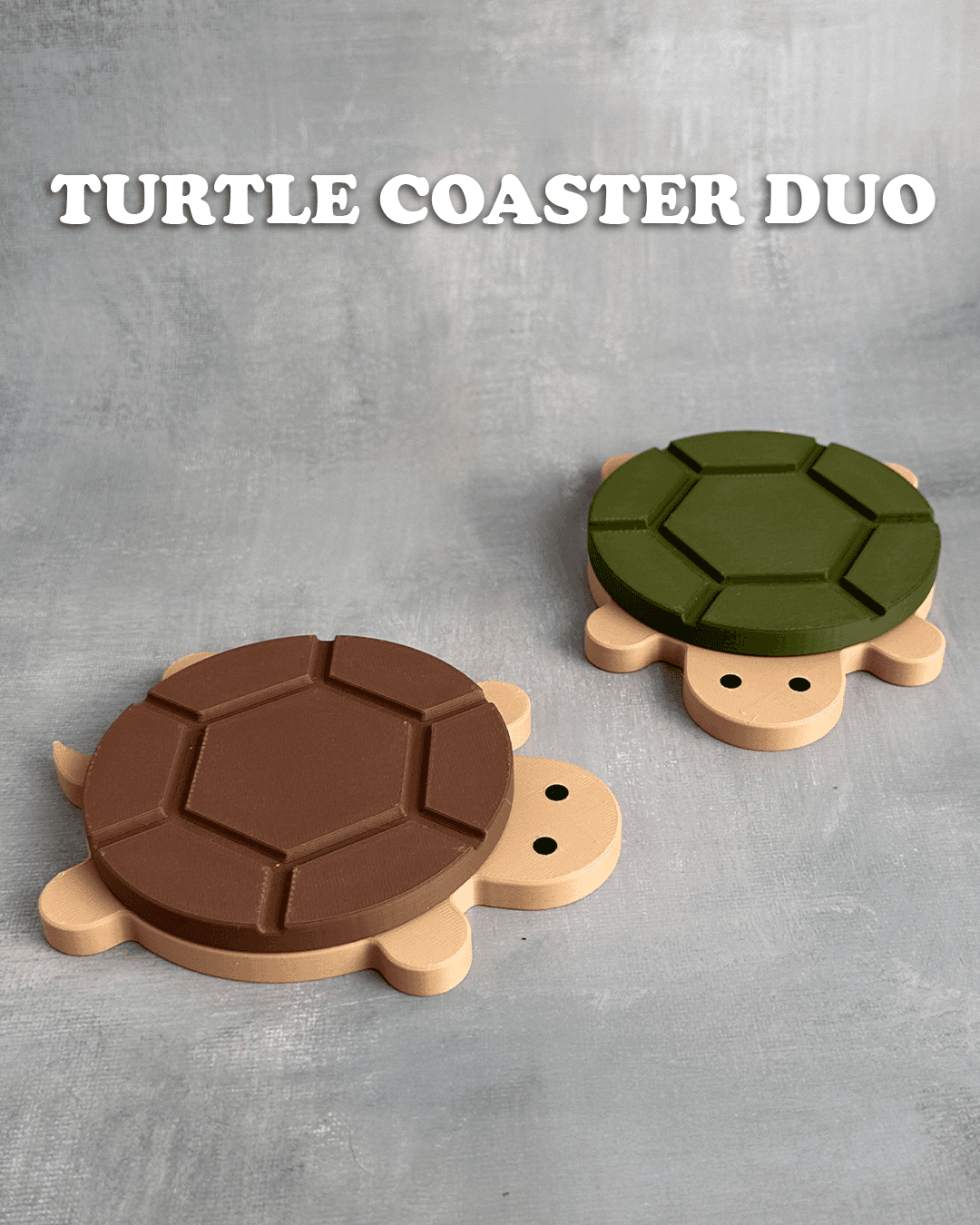 Turtle Coaster Duo 3d model