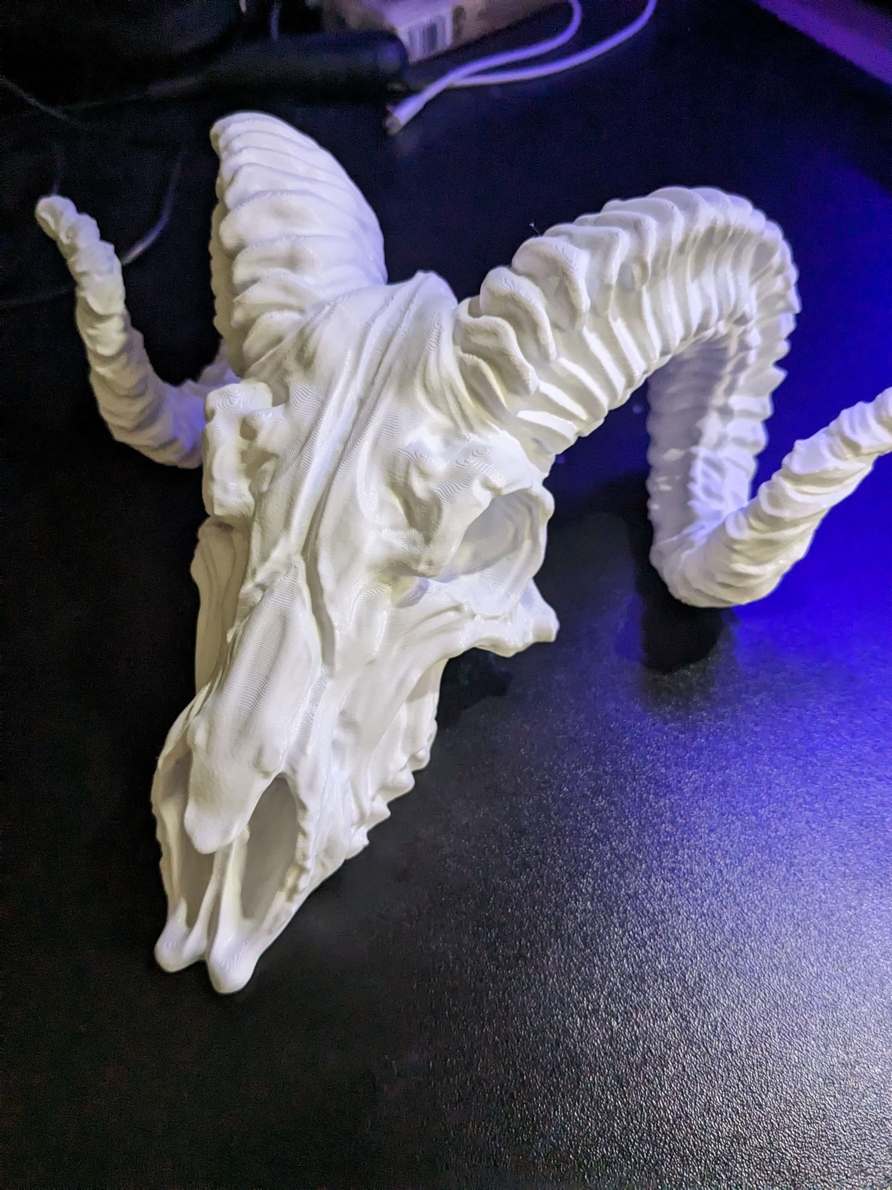 Printed on a P1P in PLA+. 5% Gyroid, slim tree supports, 0.4 Nozzle.
Thanks for the model.