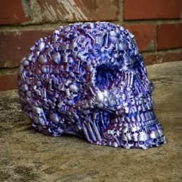 Pretzel Prints Catacombs Skull 3d model