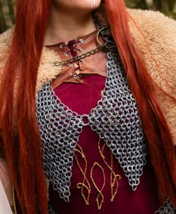 Chainmail Lingerie Top 3D Print 3d model