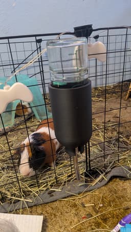 Guinea pig water bottle holder.stl 3d model