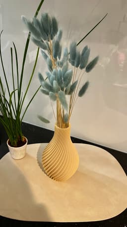 Spiral Vase 3d model