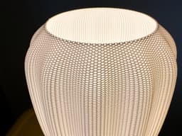 Burst Lamp 3d model