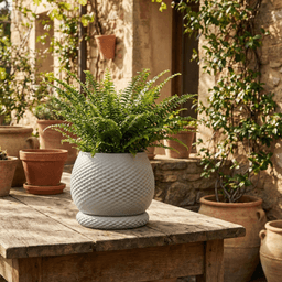Planter with dripping tray 3d model