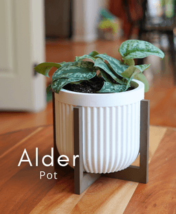 Alder Pot 3d model