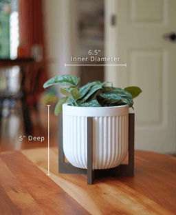 Alder Pot 3d model
