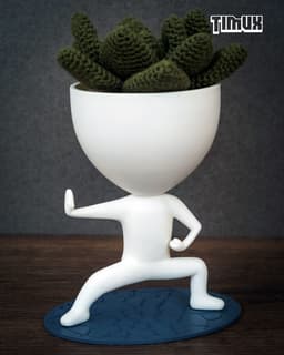 ROBERT PLANT DOING SHAOLING KUNGFU POSE 3d model