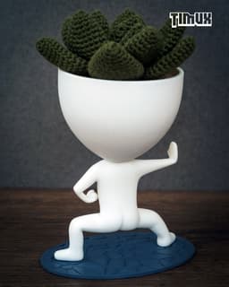 ROBERT PLANT DOING SHAOLING KUNGFU POSE 3d model