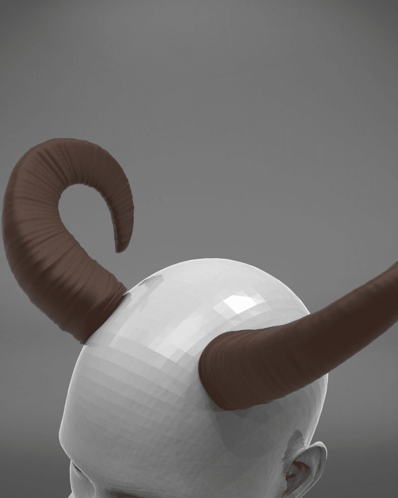 Mouflon Horns 3d model